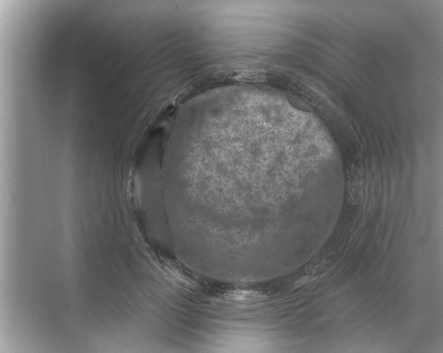 X0000068750748200605121609