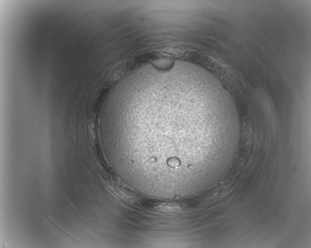 X0000068750749200605121609