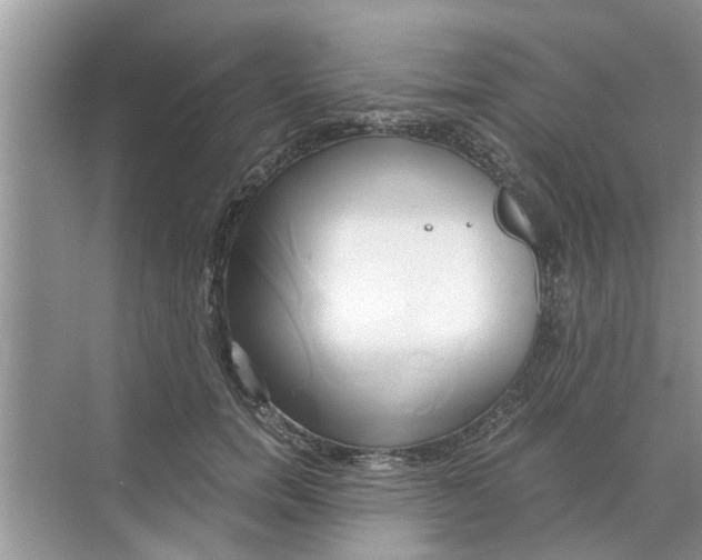 X0000068750750200605121609