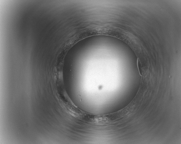 X0000068750752200605121609