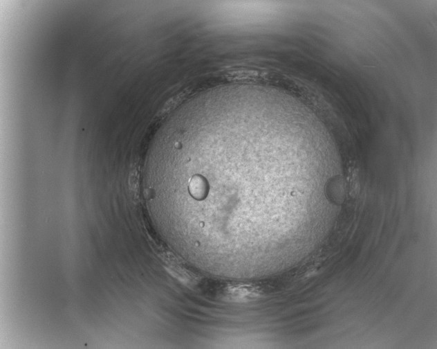 X0000068750753200605121609