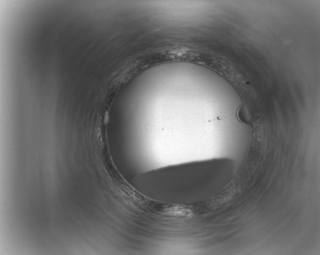 X0000068750754200605121609