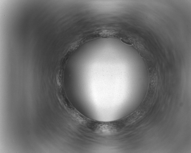 X0000068750755200605121609