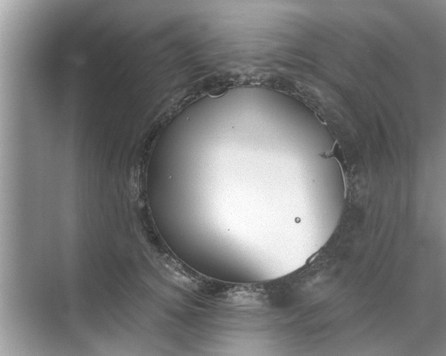 X0000068750756200605121609