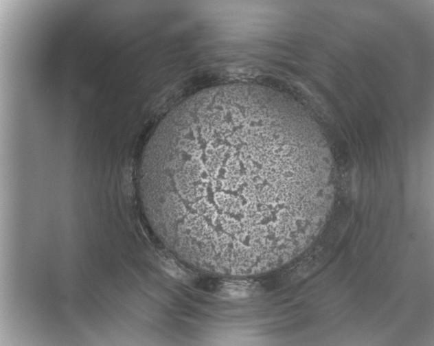 X0000068750757200605121609