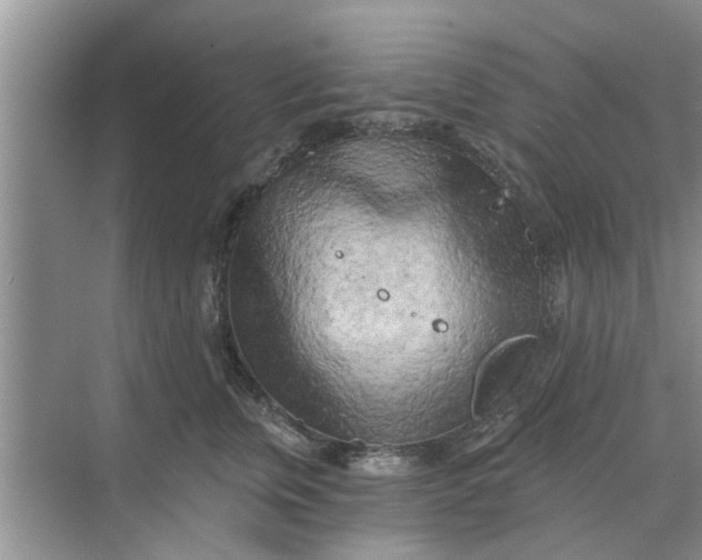 X0000068750759200605121609