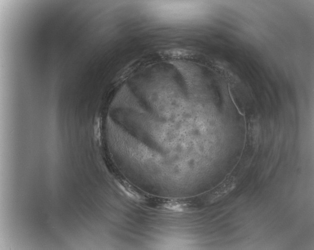 X0000068750760200605121609