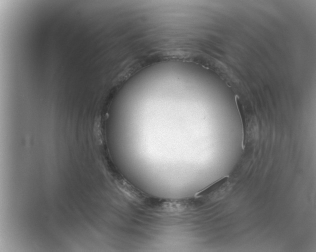 X0000068750764200605121609