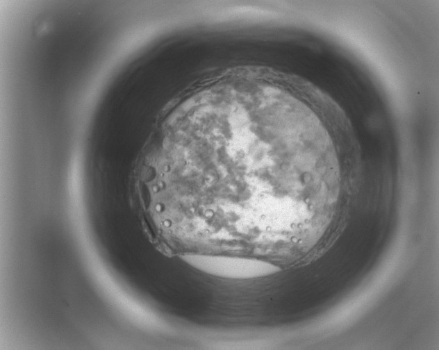 X0000068750765200605121610