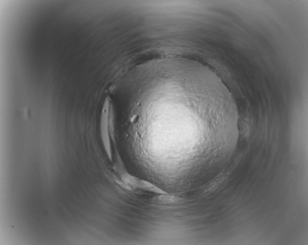 X0000068750766200605121610