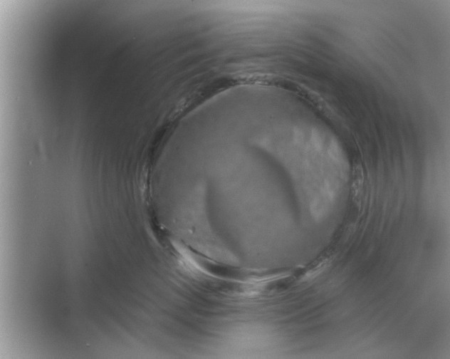 X0000068750767200605121610