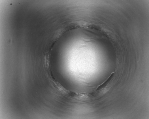 X0000068750768200605121610