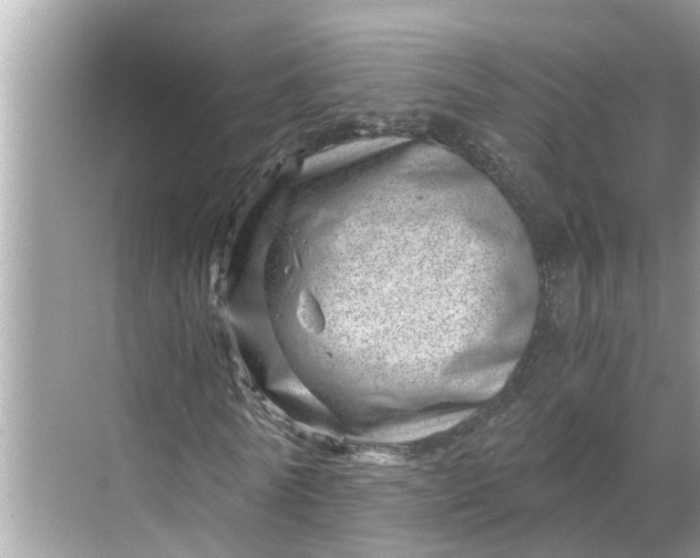 X0000068750770200605121609