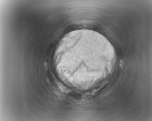 X0000068750771200605121609