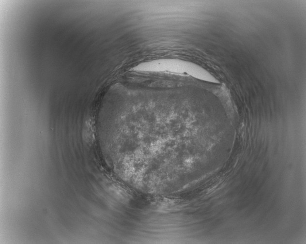 X0000068750772200605121609