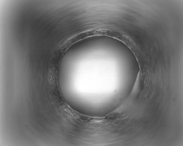 X0000068750773200605121609