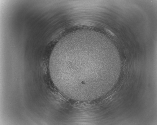 X0000068750774200605121609