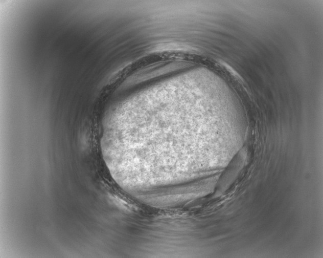 X0000068750775200605121609