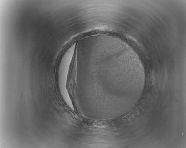 X0000068750776200605121609