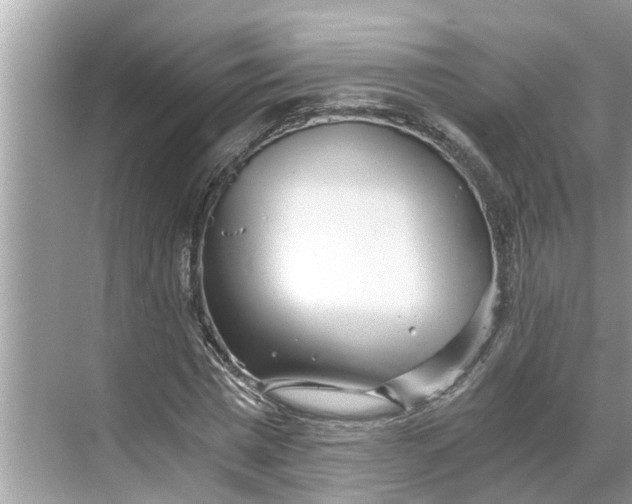 X0000068750777200605121609