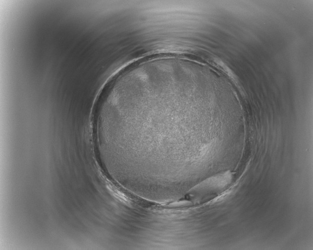 X0000068750779200605121609