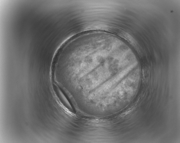 X0000068750780200605121609