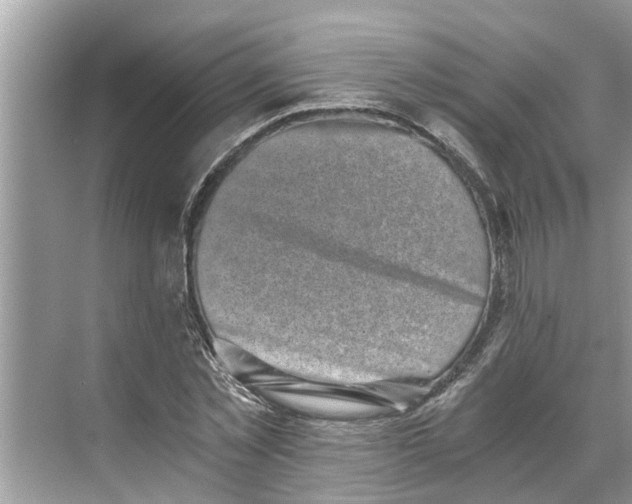 X0000068750781200605121609