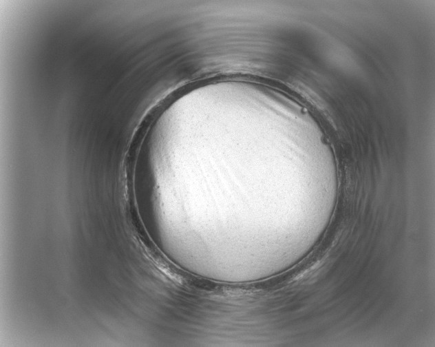 X0000068750782200605121609