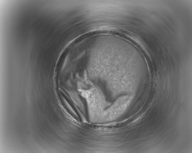 X0000068750783200605121609