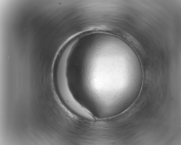 X0000068750784200605121608