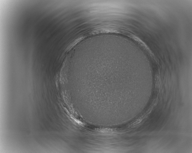 X0000068750785200605121608