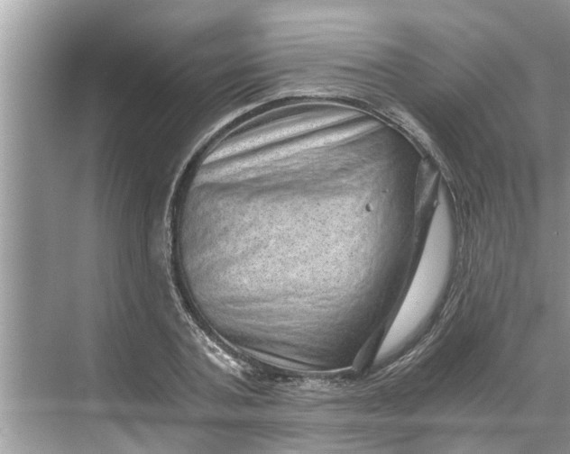 X0000068750787200605121608