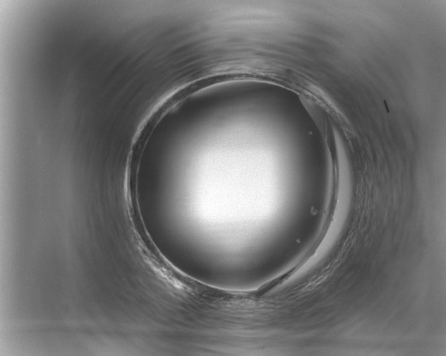 X0000068750788200605121608