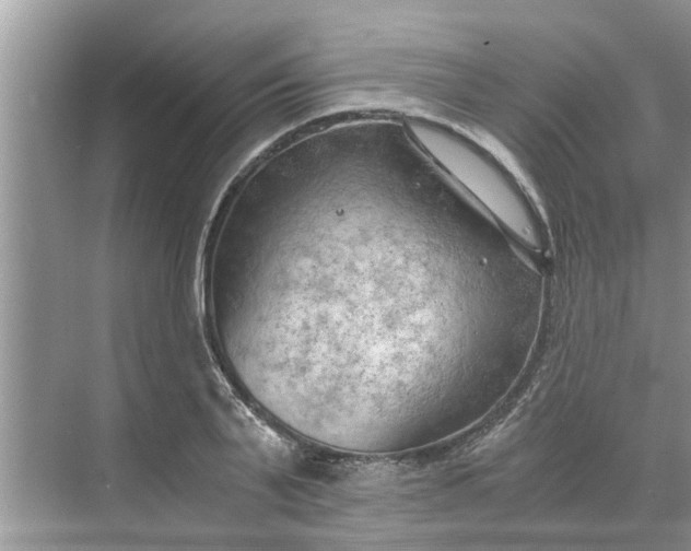 X0000068750791200605121608