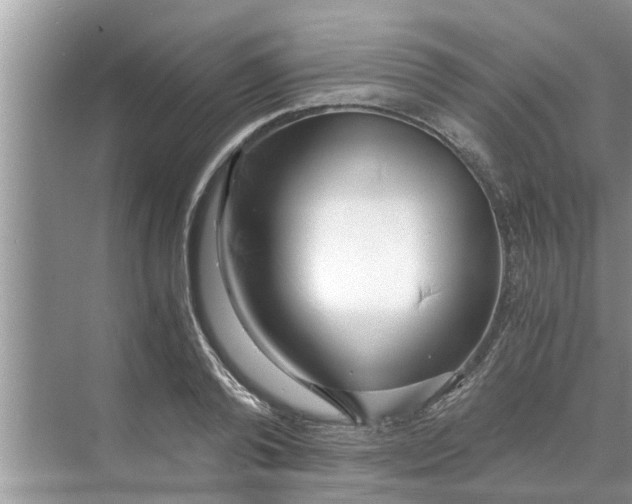 X0000068750792200605121608