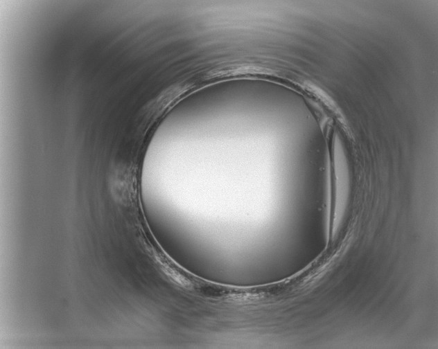 X0000068750793200605121608