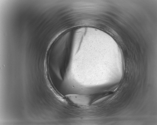 X0000068750796200605121608