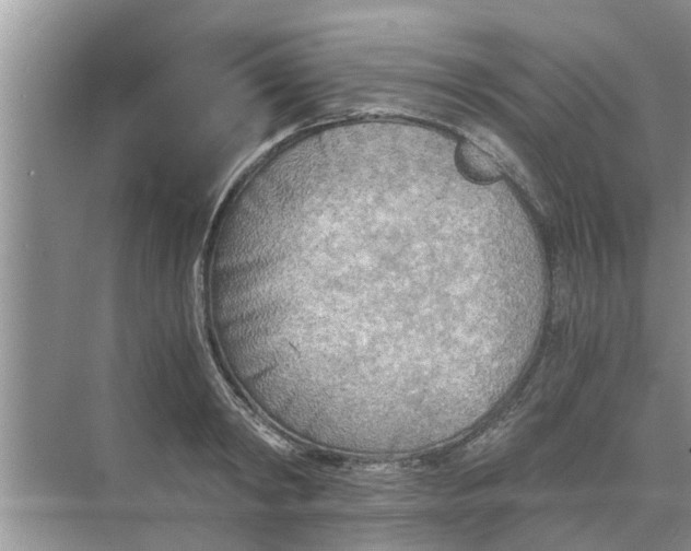 X0000068750798200605121608