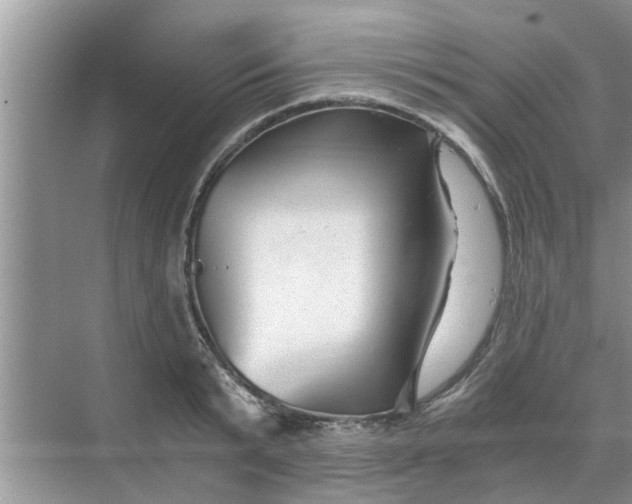 X0000068750799200605121608