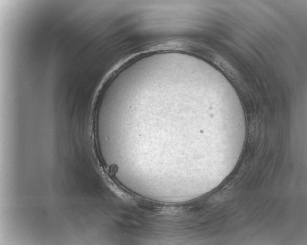 X0000068750800200605121608