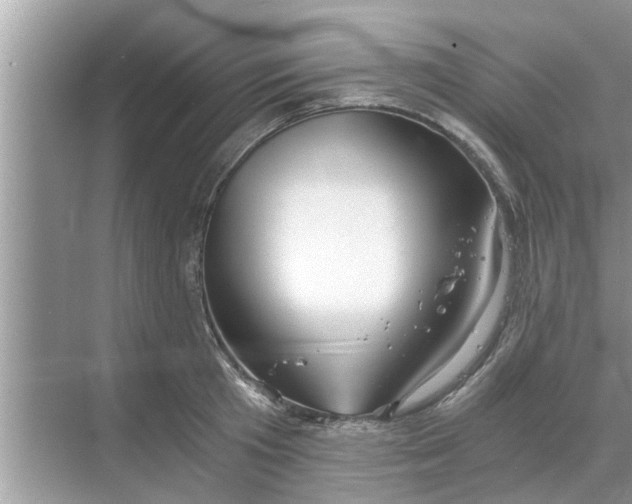 X0000068750801200605121608