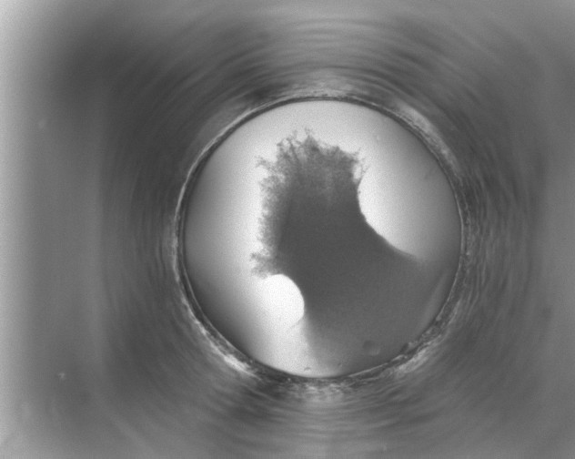 X0000068750802200605121608