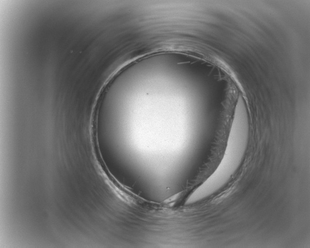 X0000068750803200605121608