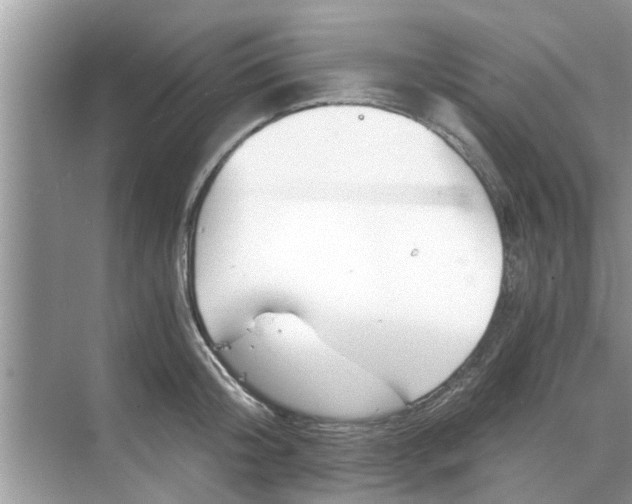 X0000068750804200605121608