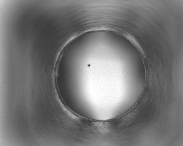 X0000068750805200605121608