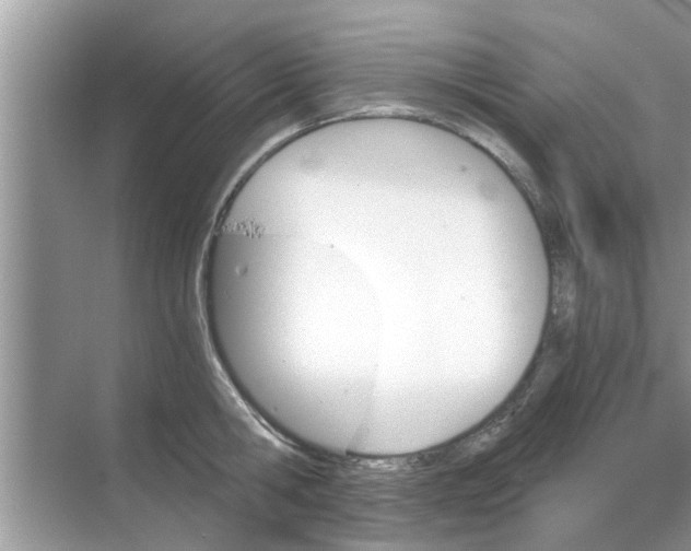 X0000068750806200605121608