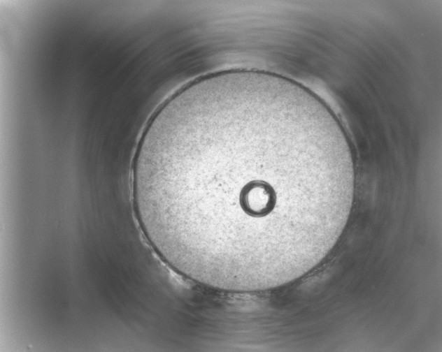 X0000068750807200605121608