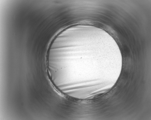 X0000068750808200605121608