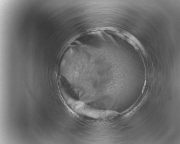 X0000068750809200605121608