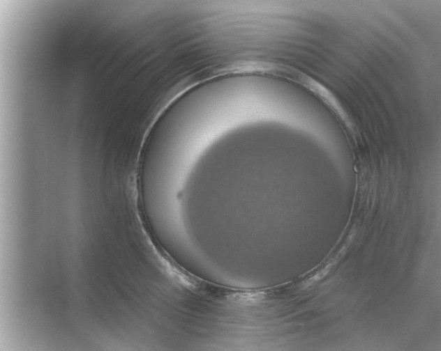 X0000068750810200605121608